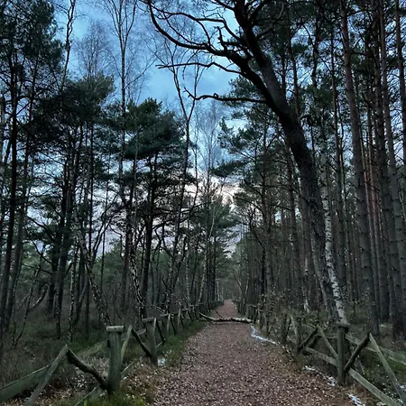 Ronin Białogóra
